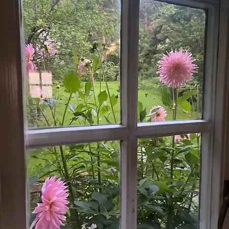 Lite Hus I Hagen Malvik